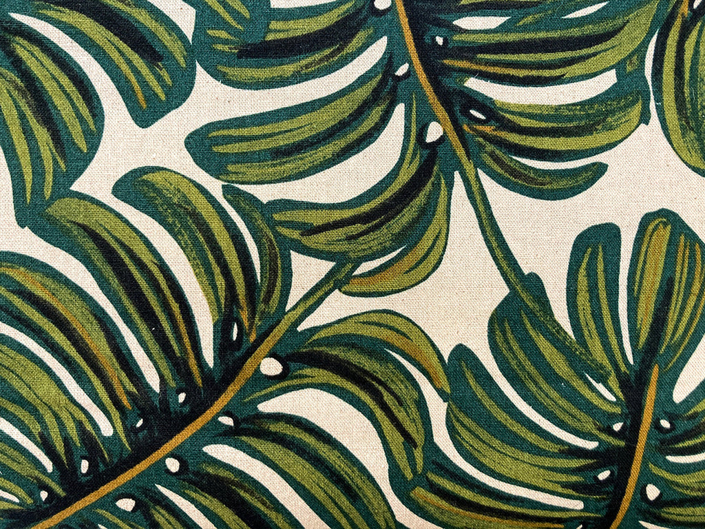 kletter monstera Monstera adansonii main image 0