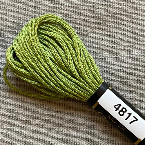 Finca Embroidery Floss 4817