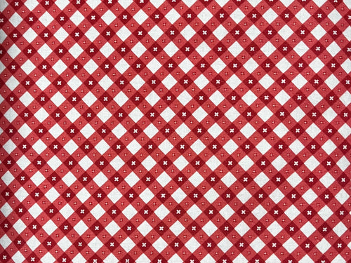 Red Gingham Picnic