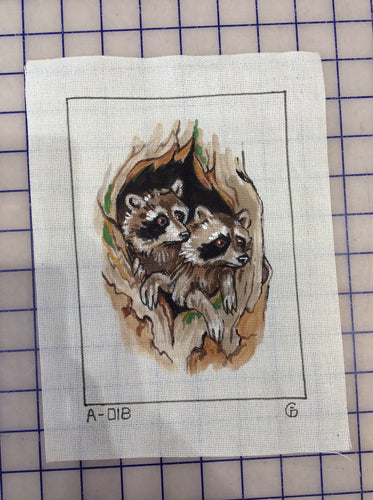 Two Raccoons