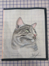 Pet Cat