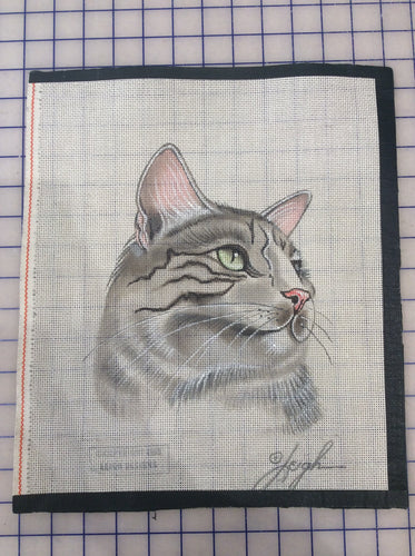 Pet Cat