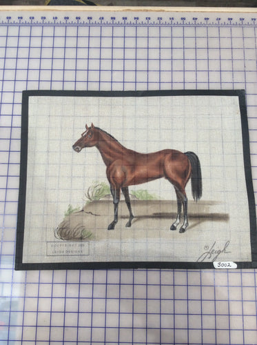 Brown Horse