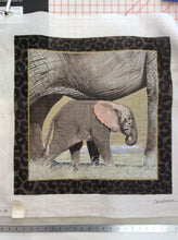 Baby Elephant