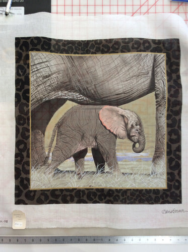 Baby Elephant