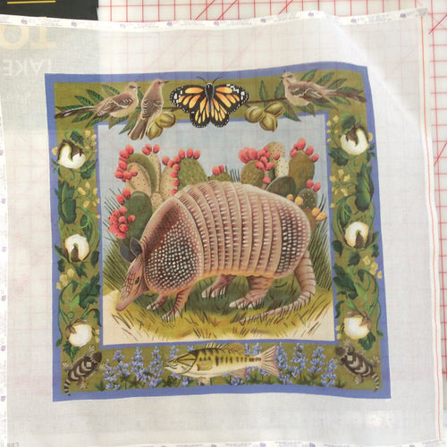 Armadillo
