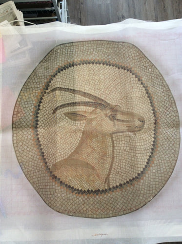 Antelope Mosaic