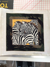 Herd of Zebras