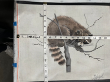 Raccoon on Branch