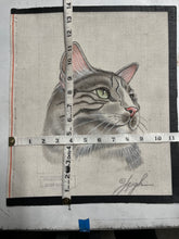 Pet Cat