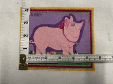 Stitched Pig