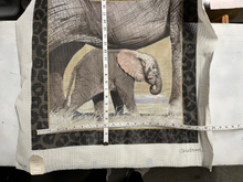 Baby Elephant