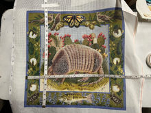 Armadillo