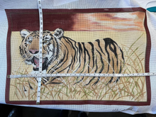 Tiger Full Pose