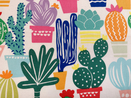 Ahf Los Cactus