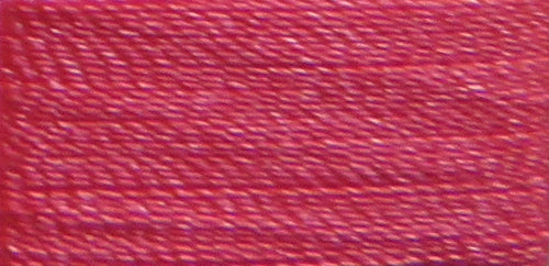 Begonia PF1083