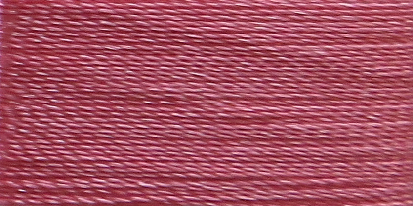 Impatiens PF1119