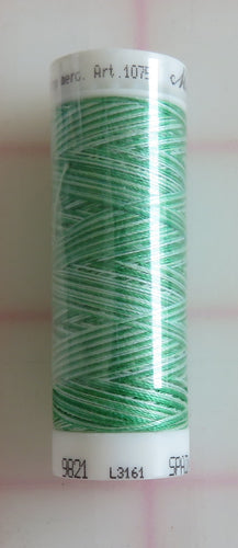 Mettler 109yd Thread In Minty