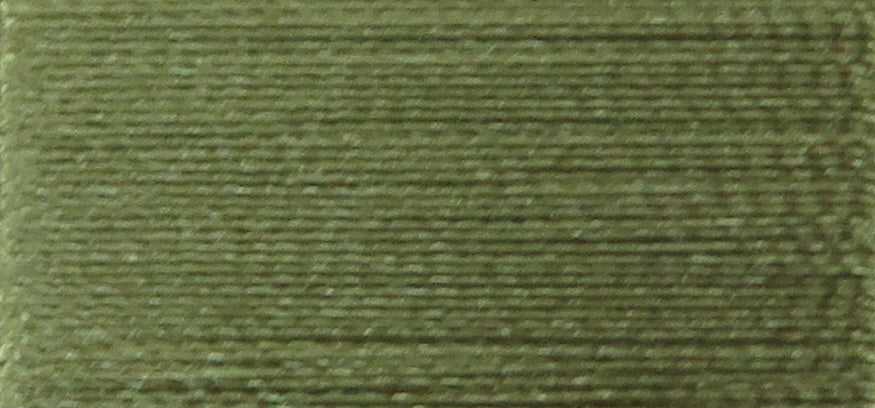 Bean Green PF0237