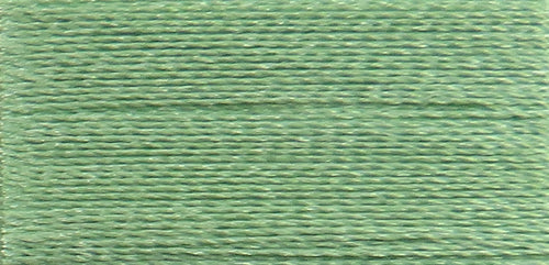 Celery PF0244