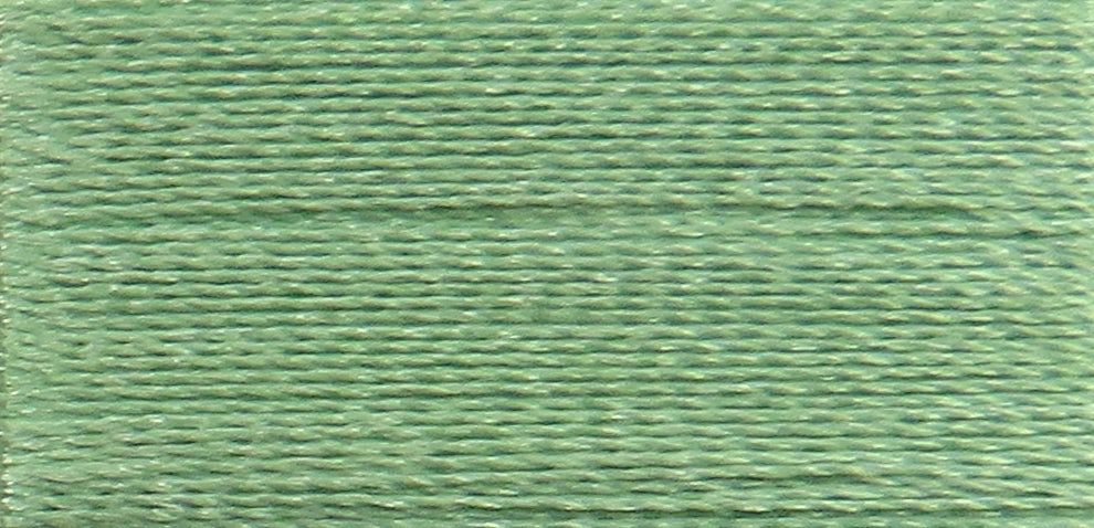 Celery PF0244