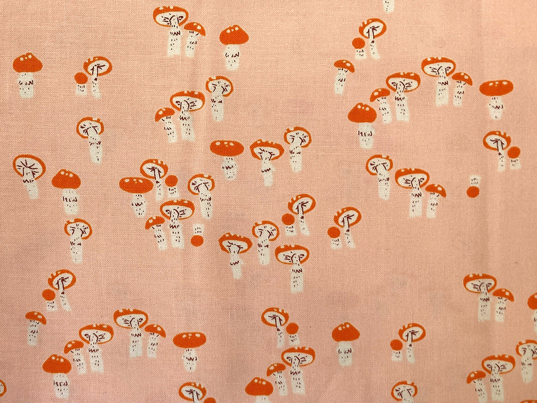 Far Far Away Mushrooms
